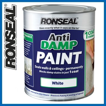 Ronseal Anti Damp Paint White 5 litres DCG3