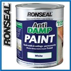 Ronseal Anti Damp Paint White 5 litres DCG3
